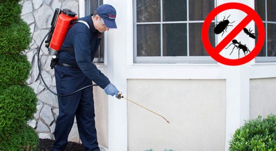 Güçlükonak Bit İlaçlama böcek ilaçlama ve haşere kontrolü — ilaclama-tr.com